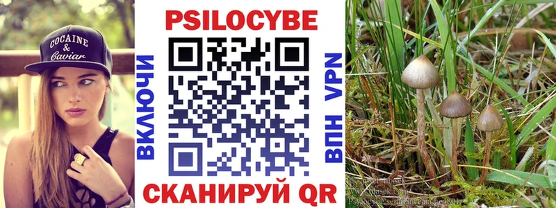 Галлюциногенные грибы MAGIC MUSHROOMS kraken зеркало Суздаль